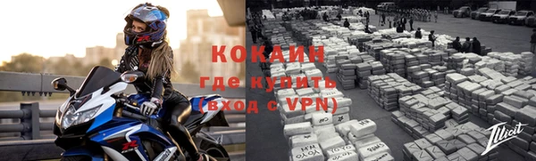 гидра Новодвинск
