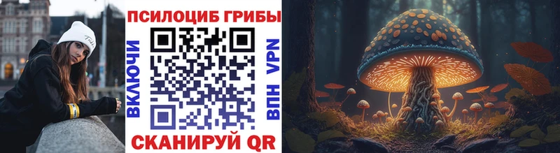 Псилоцибиновые грибы MAGIC MUSHROOMS  Нерехта 